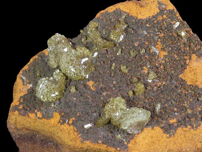 Gemmy, Yellow-Green Adamite Crystals - Durango, Mexico #65291